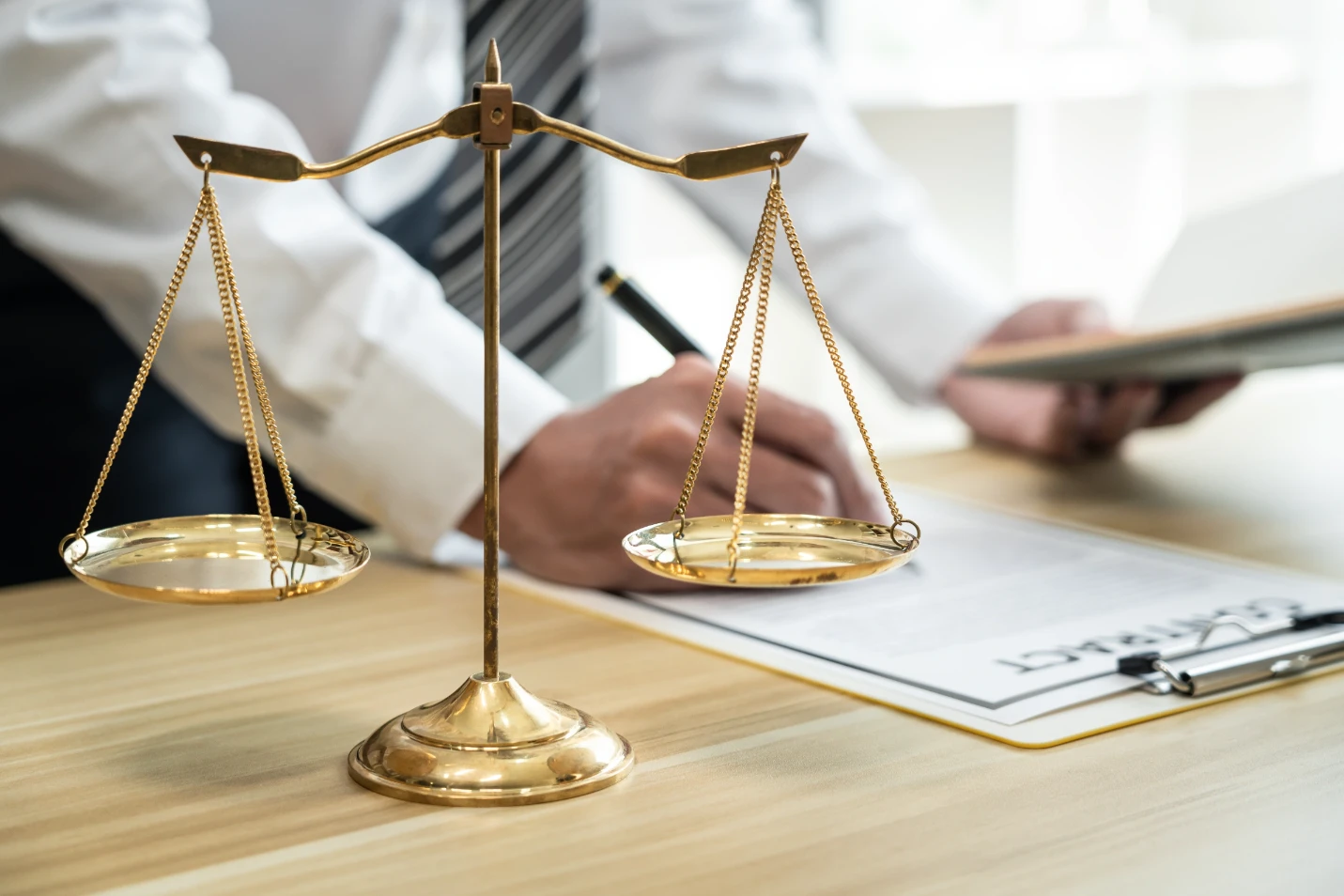 Litigation Services