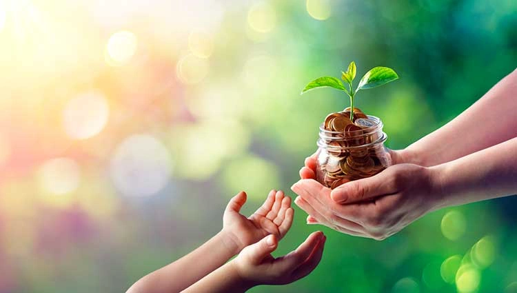 تخطيط التوريث ونقل الثروة