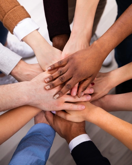 Diverse by Design